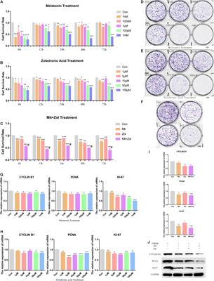 Combination of Melatonin and Zoledronic Acid Suppressed the Giant Cell Tumor of Bone in vitro and in vivo